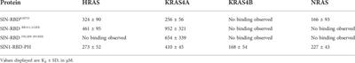 New mechanistic insights into the RAS-SIN1 interaction at the membrane